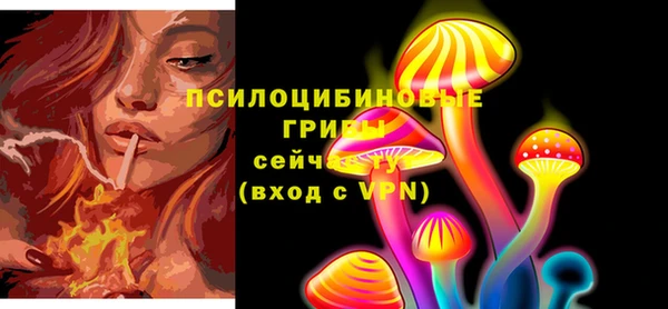 дурь Горнозаводск