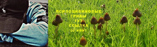 марки nbome Горно-Алтайск