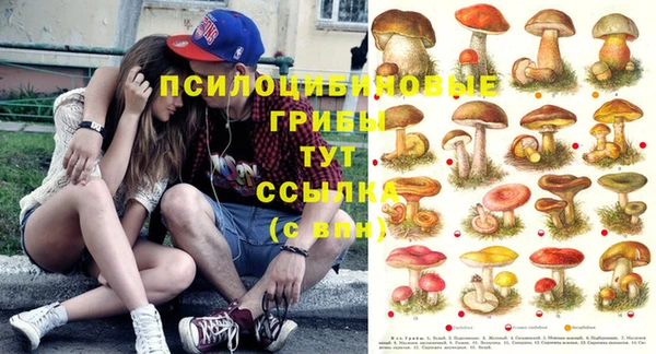 дживик Навашино