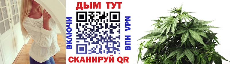 наркота  hydra вход  Марихуана индика  Пионерский 